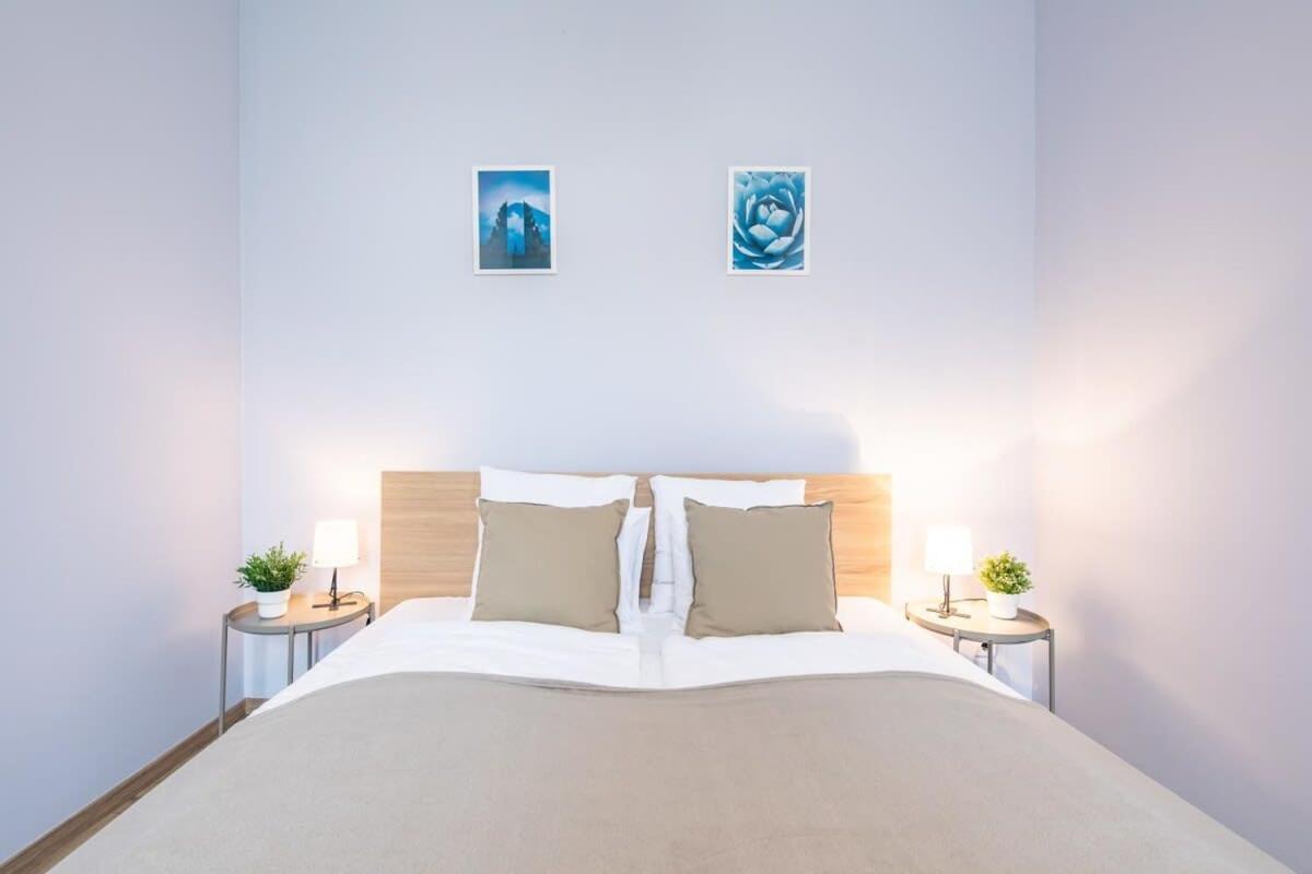 - New - Very Comfy Apartment